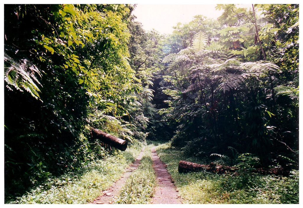 03 - Guadeloupe (13).jpg